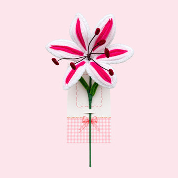 Lily Flower – Pipe Cleaner DIY Kit